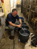 Support Our Shelter
