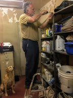 Support Our Shelter