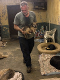Support Our Shelter